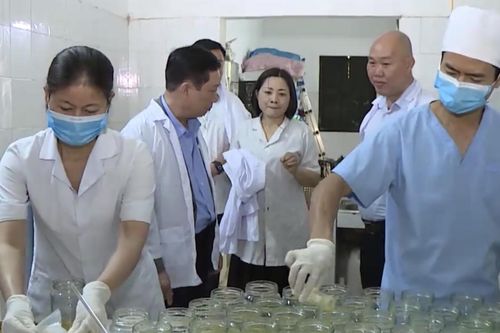 Bí thư Tỉnh ủy Hòa Bình yêu cầu phát triển vùng sản xuất cây dược liệu