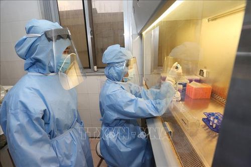 Yêu cầu thực hiện nghiêm báo cáo về cung ứng thuốc phòng chống dịch COVID-19