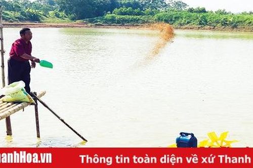Huyện Yên Định tập trung xây dựng xã, thị trấn đạt tiêu chí an toàn thực phẩm