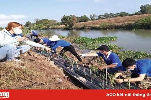 Phát huy sức trẻ vì cộng đồng