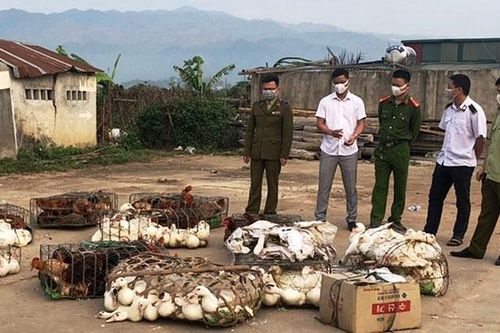 Nhiều biện pháp đảm bảo an toàn thực phẩm