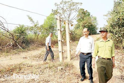Cần sớm xây dựng hàng rào điện tử bảo tồn voi