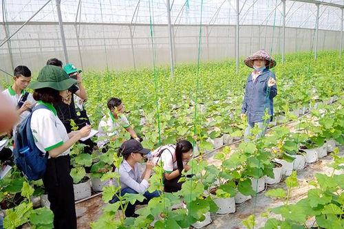 Giảng viên Trường Đại học Đồng Tháp đề xuất giải pháp hỗ trợ bà con nông dân ứng phó hạn mặn
