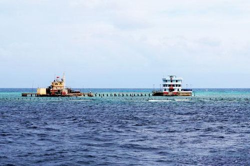 Tổ quốc nhìn từ biển (Bài 2)