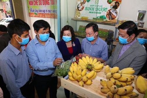 Phát động hợp tác xã chung tay phòng, chống dịch Covid-19 và khai trương gian hàng nông sản an toàn Đại Hoàng