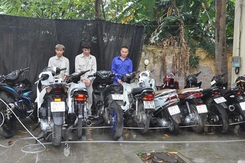 Nhiều ổ nhóm trộm cắp, cướp tài sản sa lưới