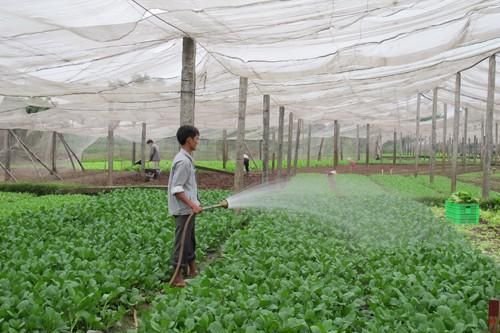 Hà Nội đứng đầu bảng xếp hạng bảo đảm an toàn thực phẩm nông, lâm, thủy sản