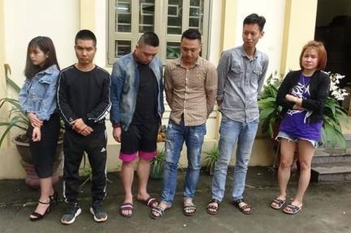 Phá đường dây buôn ma túy liên tỉnh giấu trong gạch, gấu bông