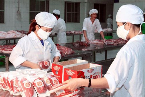 Tập trung bình ổn thị trường thịt lợn