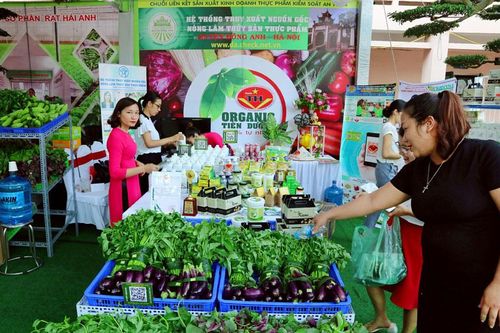 Hà Nội đã hình thành 115 mô hình liên kết trong sản xuất nông nghiệp