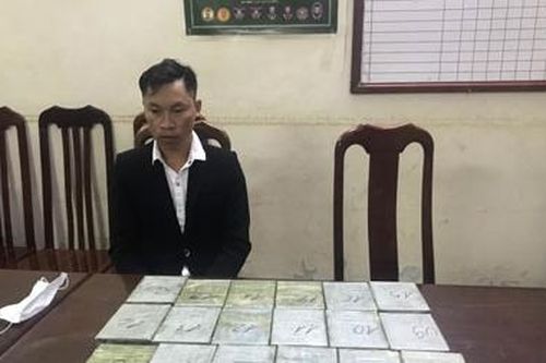 Truy tìm 'vị khách' có đôi tai đặc biệt