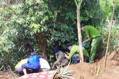 Đi tưới cà phê phát hiện thi thể người đang phân hủy