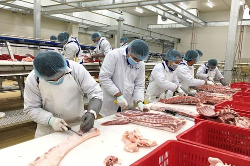 Đa dạng hóa nguồn cung thịt lợn