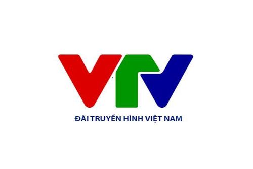 Cơ cấu tổ chức mới của Đài Truyền hình Việt Nam