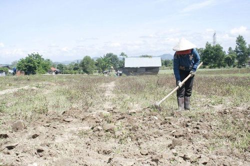 Sớm trình Thủ tướng Chính phủ ban hành chuẩn nghèo đa chiều