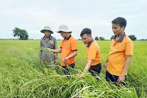 Hành trình 'thay máu' cho nông dân