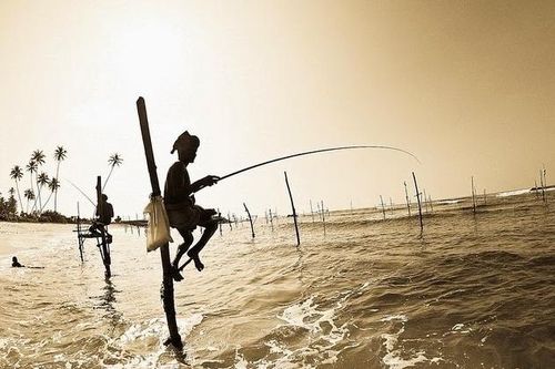 Ấn tượng và độc đáo khi dùng cà kheo câu cá, của ngư dân quốc đảo Sri Lanka