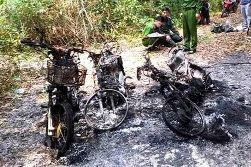 Điều tra vụ 3 xe máy của cán bộ bảo vệ rừng bốc cháy bất thường