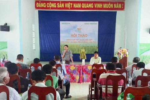 Ia Pa: Hội thảo đánh giá liên kết sản xuất giống lúa vụ Đông Xuân 2019-2020