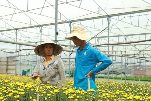 Tháo gỡ khó khăn cho người trồng hoa