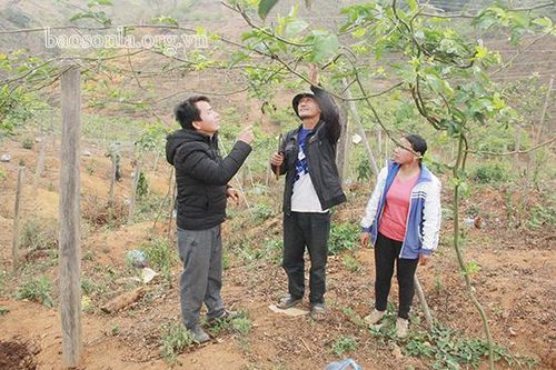 Phát huy hiệu quả hoạt động kết nghĩa cặp bản hai bên biên giới