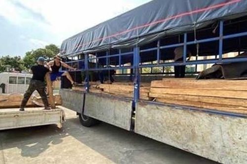 Phát hiện xe ô tô chở 62 thanh gỗ Pơ mu không rõ nguồn gốc