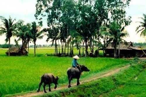 Bạn Làng