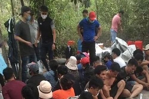 Đột kích sòng xóc đĩa trong rừng tràm