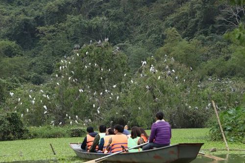 'Bản giao hưởng' ở Thung Nham
