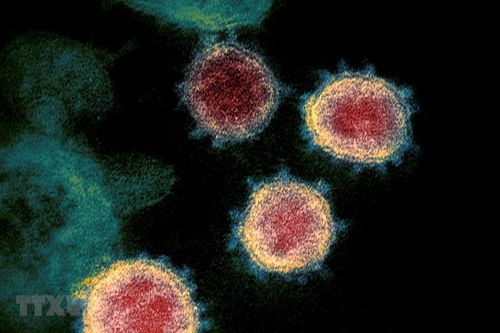Nga giải mã thành công đầy đủ bộ gene của vi rút SARS-CoV-2
