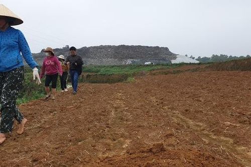 Dân bỏ ruộng vì ảnh hưởng của nhà máy chế biến rác