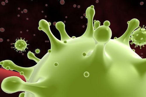 Các nhà khoa học đang chứng minh virus corona có thể 'chết' vào mùa hè