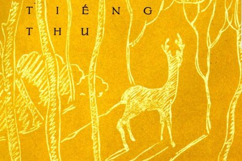Đáp án ô chữ con nai vàng ngơ ngác