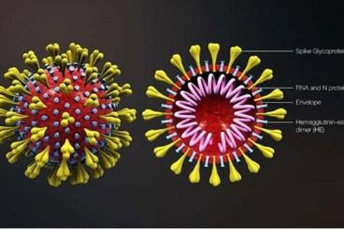 Virus Covid-19 lây nhiễm vào con người như thế nào?