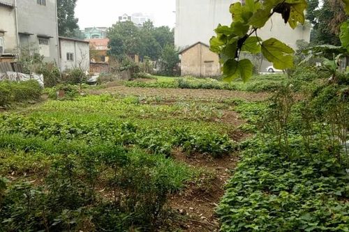 Nghi vấn giao đất tái định cư sai đối tượng tại Vĩnh Phúc