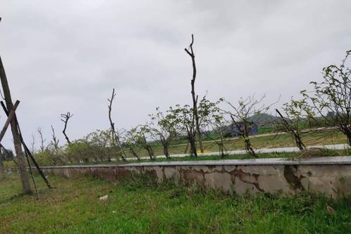 Hà Tĩnh: Công trình Hồ điều hòa Bình Lạng 15 tỷ vừa bàn giao đã hư hỏng nặng