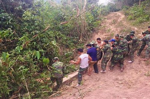 Quảng Trị: Thu giữ nhiều khối gỗ lậu giấu ở khu vực biên giới