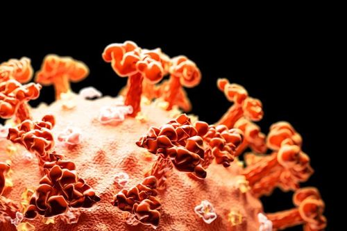 Virus corona gây đại dịch Covid-19 từ tự nhiên, không phải sản phẩm phòng thí nghiệm