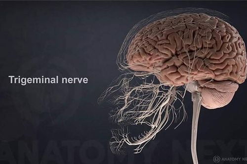 Khám phá những điều thú vị trong cơ thể con người không phải ai cũng biết