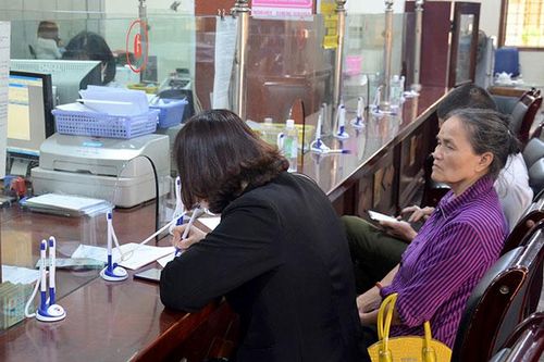 Ðồng hành với người chăn nuôi sau dịch tả lợn châu Phi