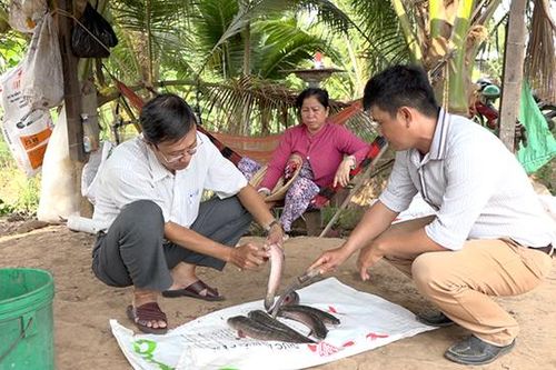 Nắng nóng liên tục ảnh hưởng đến môi trường nuôi trồng thủy sản