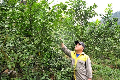 Trung Minh: Đảng viên đi trước