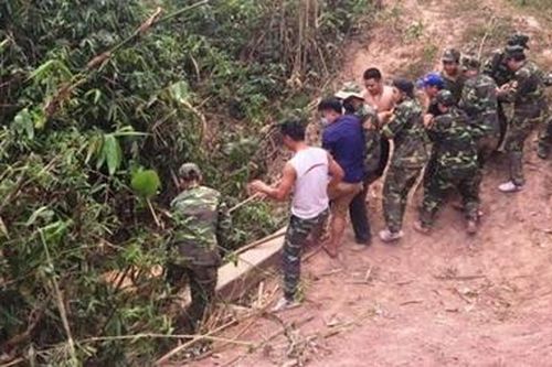 9m³ gỗ được cất giấu rải rác cạnh bìa rừng