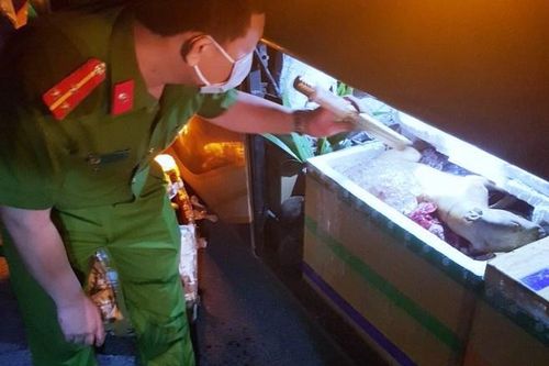 Xe khách chở 300 kg thịt, nội tạng bốc mùi