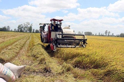 Ðể có thêm vụ lúa đông xuân được mùa