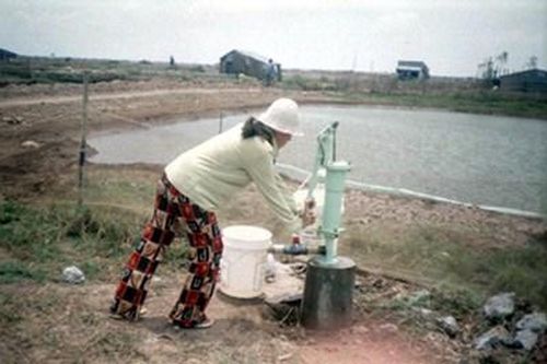 Phát triển nông nghiệp đa dạng để giảm thiệt hại do hạn, mặn