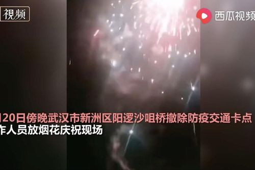 Dân Vũ Hán đốt pháo bông ăn mừng dỡ bỏ trạm kiểm dịch