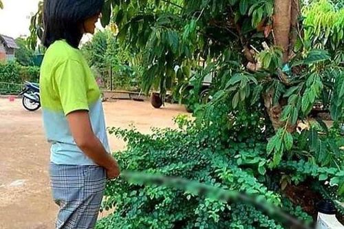 Ảnh đặt vòi nước tưới cây ở vị trí nhạy cảm, H'Hen Niê làm dậy 'sóng' cộng đồng mạng
