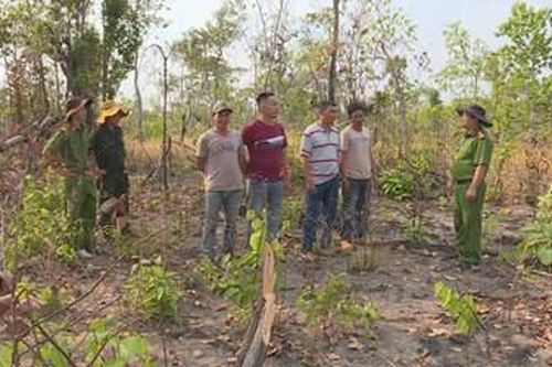 4 đối tượng phá tan hoang gần 2ha rừng để chiếm đất làm rẫy
