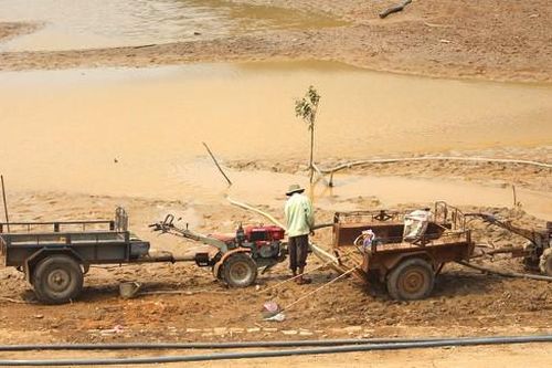 Tây Nguyên căng sức chống hạn